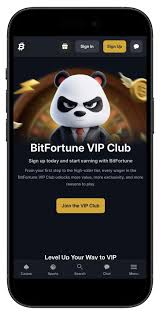 Exploring Bitfortune Live Casino The Future of Crypto Gaming