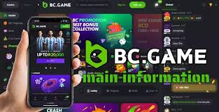 Complete Guide to the BC.Game IT Registration Process