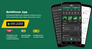 Exploring BetWinner Casino A Premier Online Gaming Hub in Africa